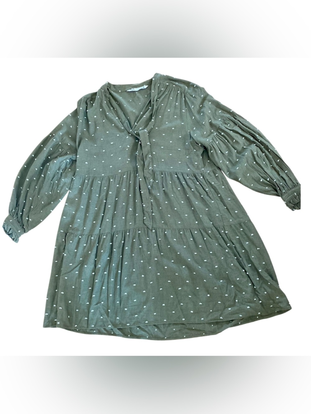 Zara Olive Green Dress All Over Embroidery Boho Midi Mini Textured Size Small